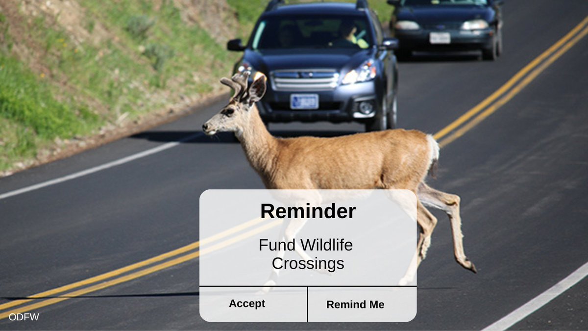 .<a href="/thebulletin/">The Bulletin</a> op-ed on the need for #orleg to fund wildlife crossings this year &amp; #KeepOregonsWildlifeMoving: "Oregon lawmakers have the chance to establish dedicated funding for statewide wildlife crossing infrastructure..." <a href="/RepTawnaSanchez/">Tawna Sanchez</a>, <a href="/juliefahey/">Rep. Julie Fahey</a> bendbulletin.com/2025/04/25/gue…