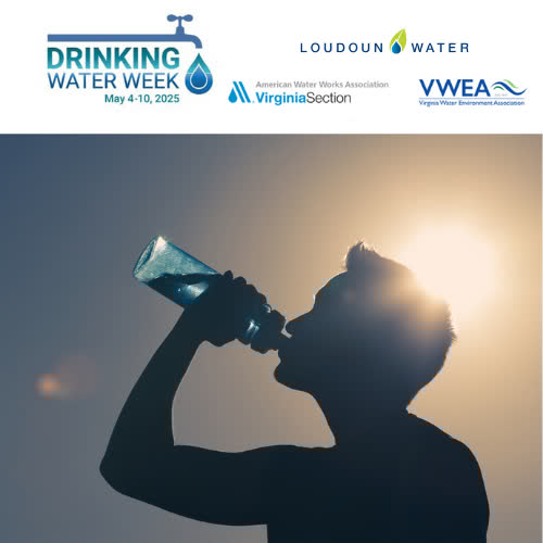 From source to tap, your water undergoes a fascinating journey of treatment and testing. This #DrinkingWaterWeek, discover the science and innovation that ensure every drop is clean and healthy. bit.ly/290kgdU