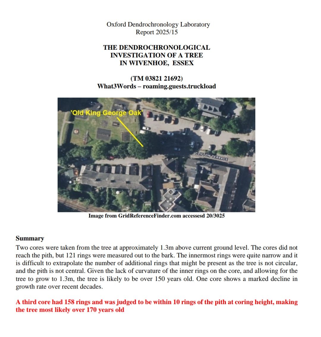 Interesting news from Wivenhoe. Old King George has been found to most likely be over 170 years old by tree dating expert Dr Martin Bridge of the Oxford Dendrochronology lab! Thank you to Martin for returning to give more conclusive answer on this important question