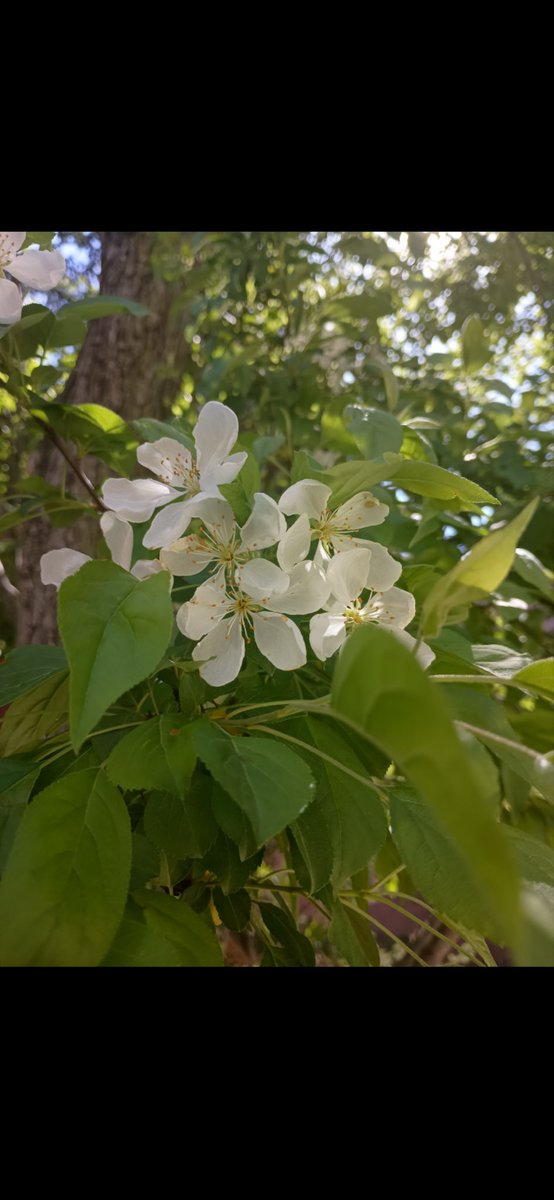IndianaChemist's tweet image. Beautiful view from our office! #oisc #indianachem