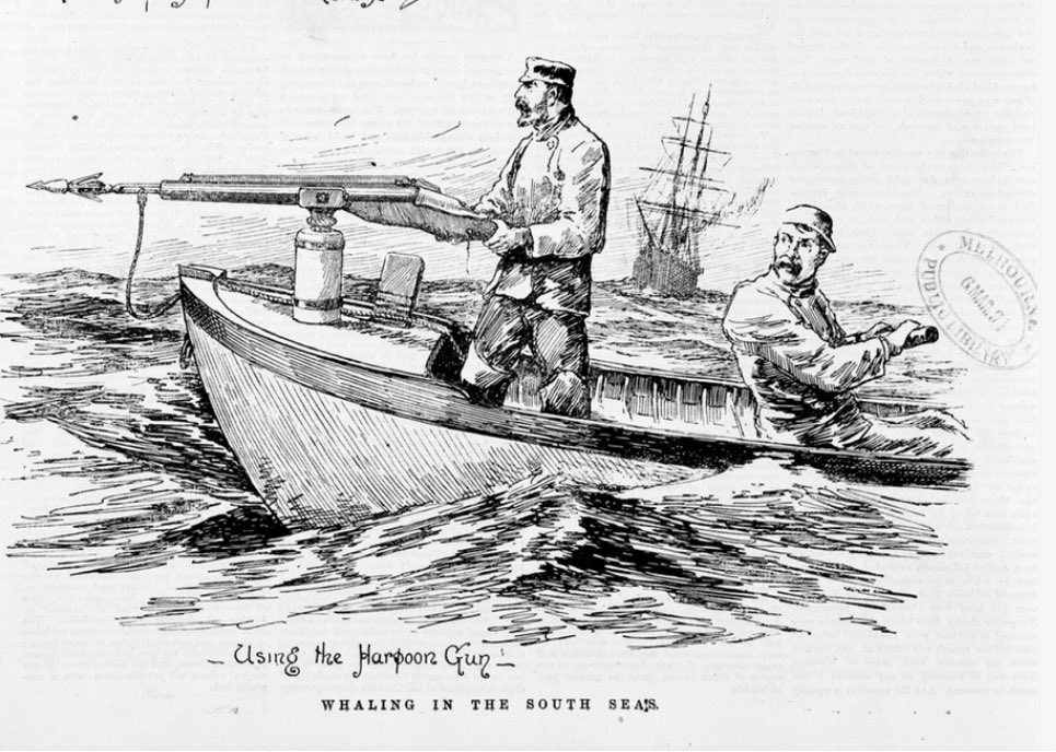 David #7241 tweet media