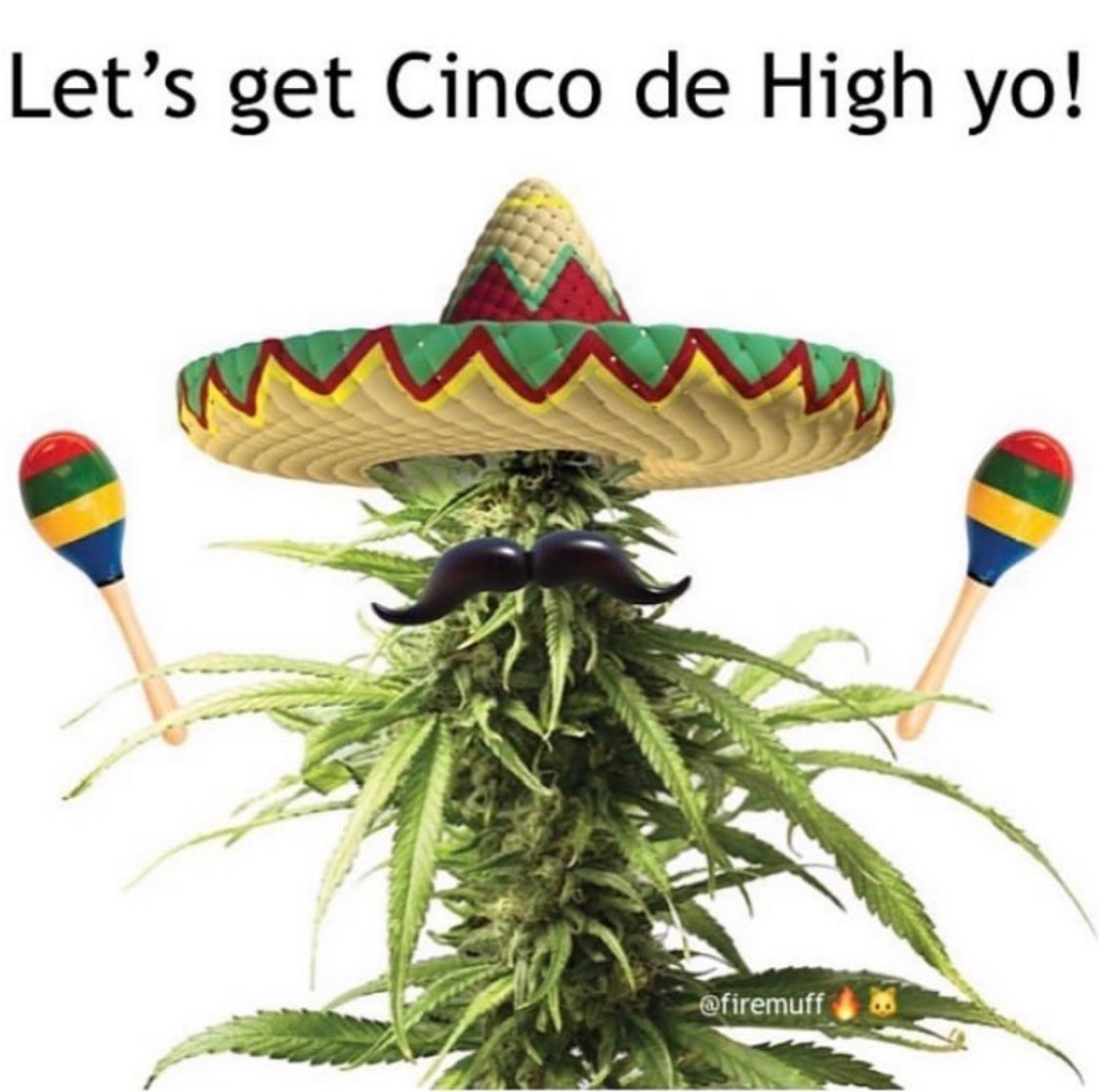 Happy Holidaze