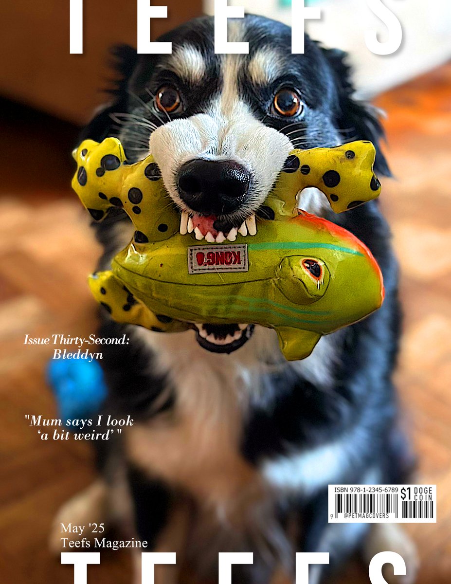 Pet Magazine Covers (@petmagcovers) on Twitter photo <a href="/SarahMLdnEnBr2/">Sarah M Artist loves D🐶Gs 🌱🐶🎨📝🎶🎄</a> <a href="/Bleddyn25598275/">Bleddyn 🏴</a> Bleddyn on the cover of TEEFS Magazine, May 2025 edition, with controversial topics like: "Mum says I look 'a bit weird'"
#Pet #Magazine #covers #Dogs #Teefs <a href="/SarahMLdnEnBr2/">Sarah M Artist loves D🐶Gs 🌱🐶🎨📝🎶🎄</a> <a href="/Bleddyn25598275/">Bleddyn 🏴</a> Bleddyn on the cover of TEEFS Magazine, May 2025 edition, with controversial topics like: "Mum says I look 'a bit weird'"
#Pet #Magazine #covers #Dogs #Teefs