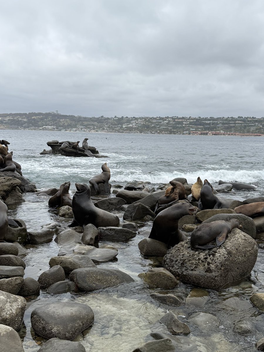 bubs 🪿 tweet media