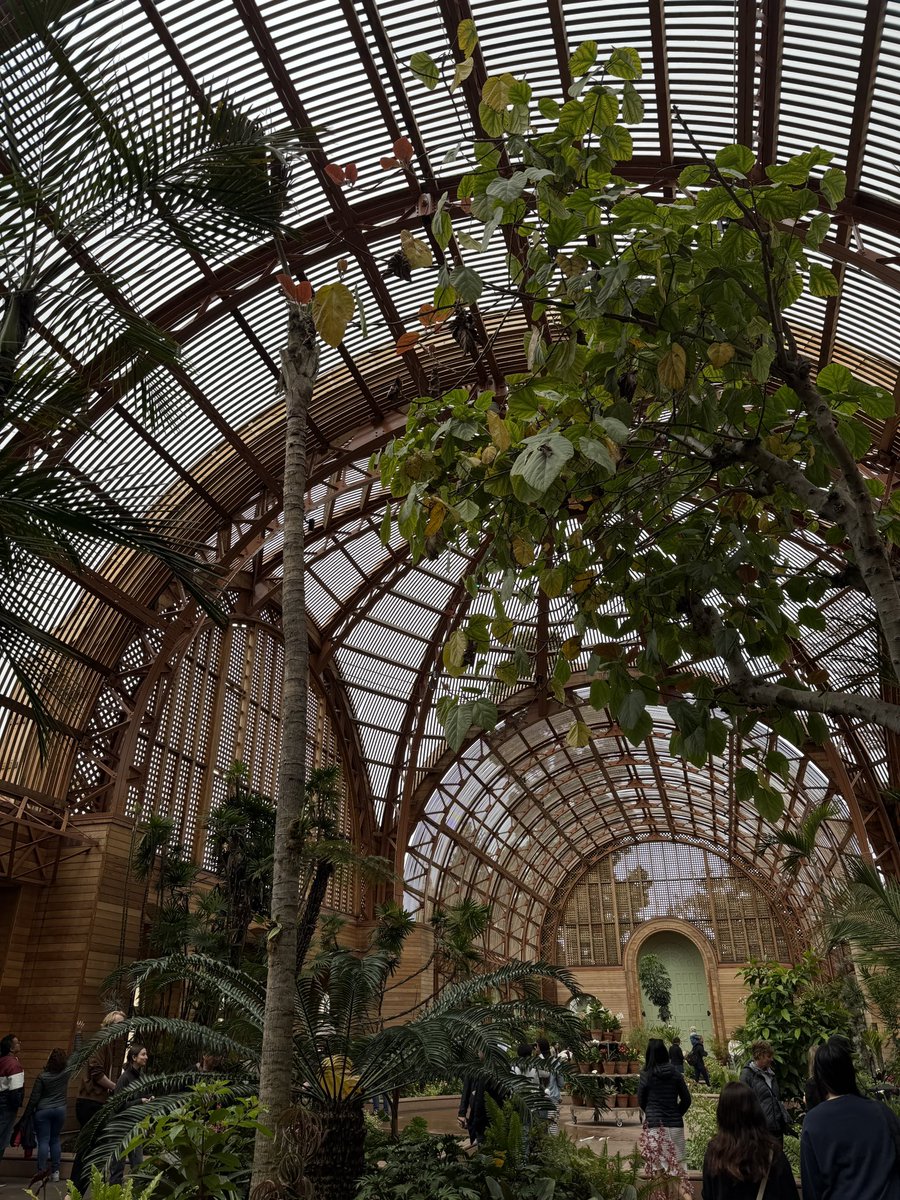 bubs 🪿 tweet media