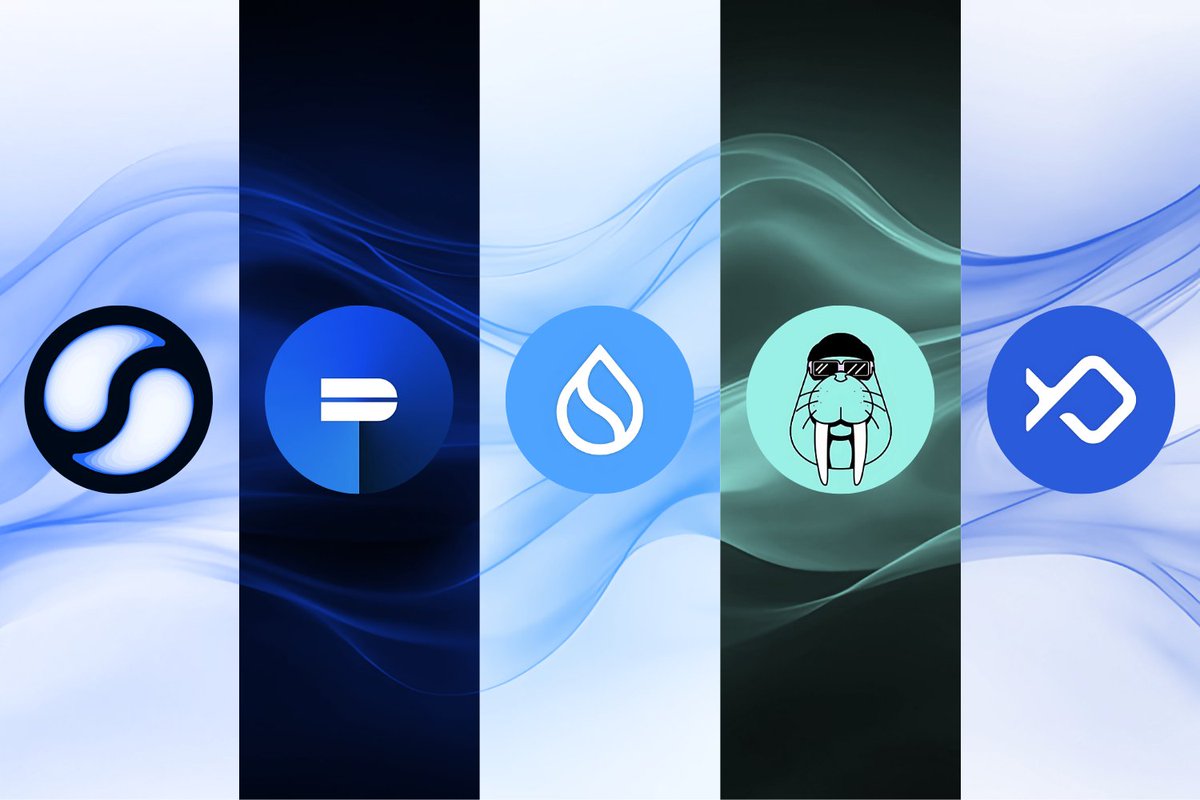 I can feel a huge move coming soon

Only the strongest projects will pump the most

Sui ecosystem tokens will likely outperform the market again

Believers will be rewarded MASSIVELY!

$SUI $WAL $DEEP $BLUE $SEND