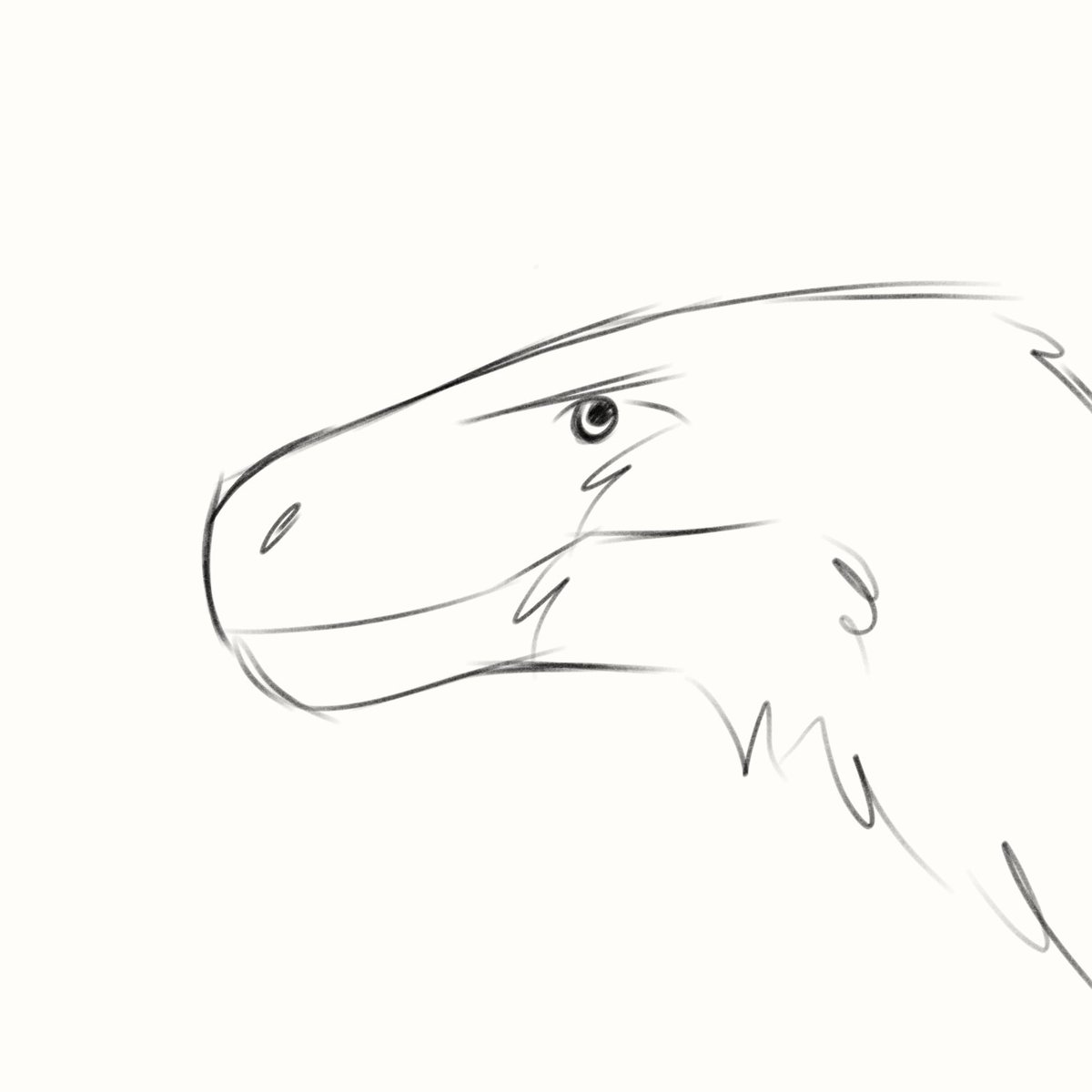 Little practice