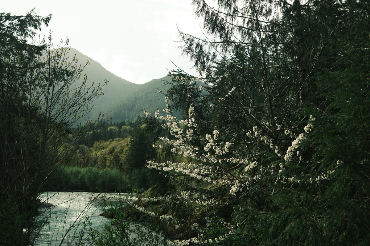 hcvtx's tweet photo. Washington State #fujifilm https://t.co/wm9cMinrY1