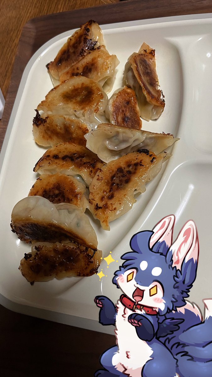 こんな時間に餃子作る狐はオレだ

行者にんにく餃子うんめ、、、 