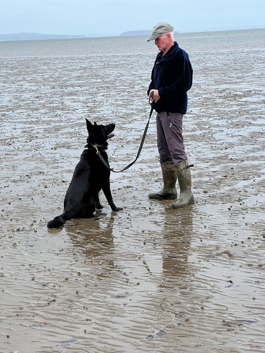 tiredpawshmpdog's tweet image. 🐾 Echo Update 🐾
Echo is recovering well, and her hydrotherapy has really helped. She is currently on holiday in North Wales and enjoying ice cream and beach fun.
Echo is having so much fun and and she’s fully convinced she’s all repaired and ready for full-on retirement fun…