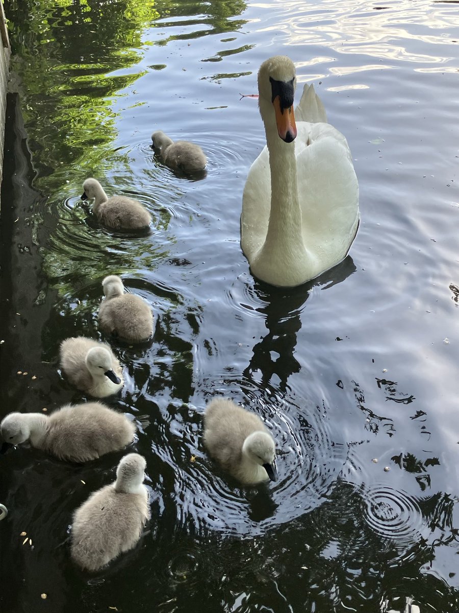 So lovely🥰