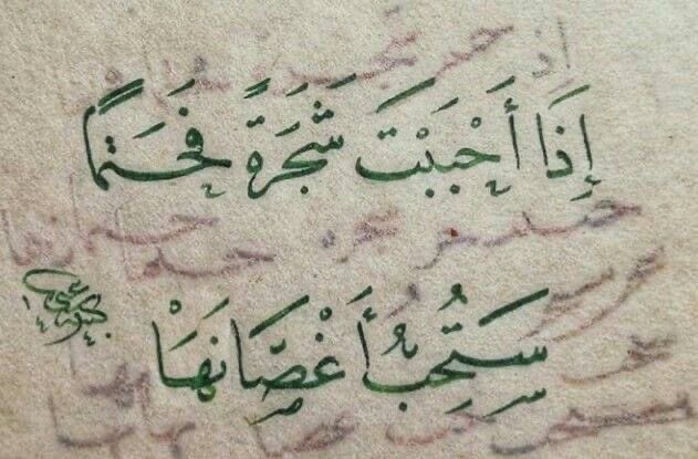 𝗟𝗮𝘁𝗶𝗳𝗮 (@latifaaleyairy) on Twitter photo 