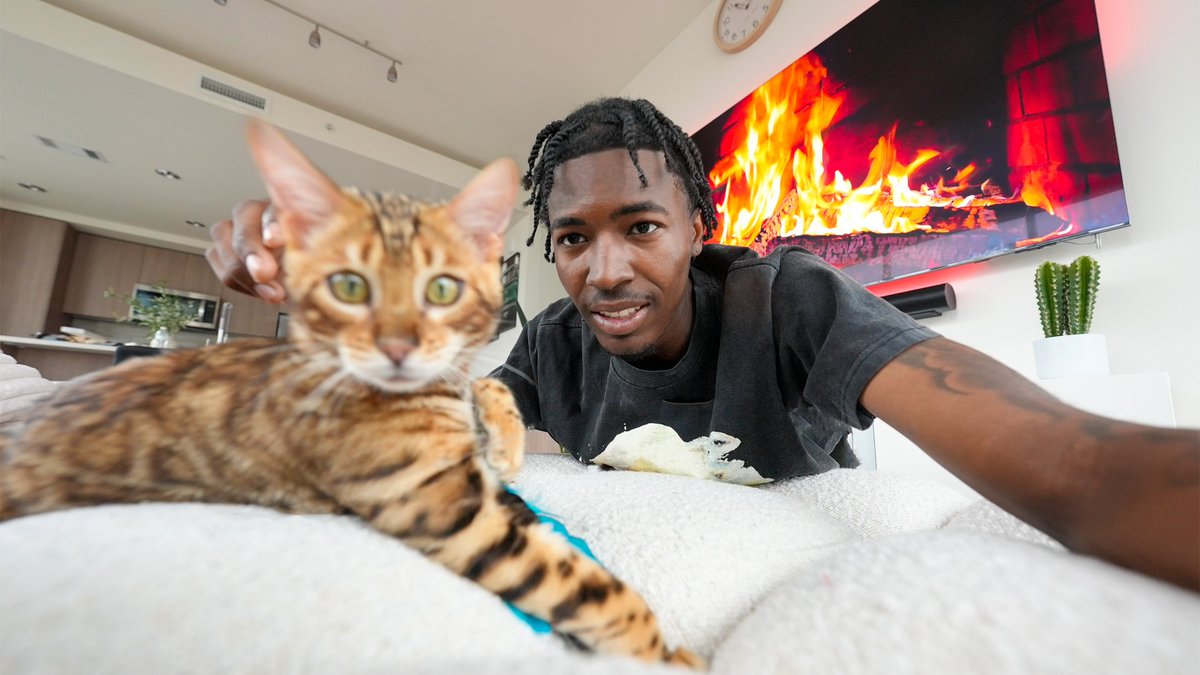 i adopted an exotic kitten
youtu.be/A_d2B12roo0