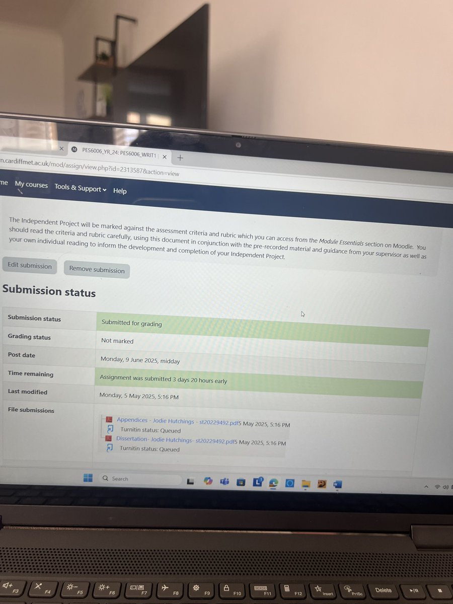 Dissertation submitted ✅