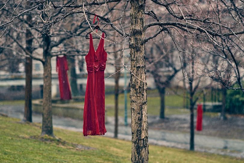 RecoveryDayBC tweet media