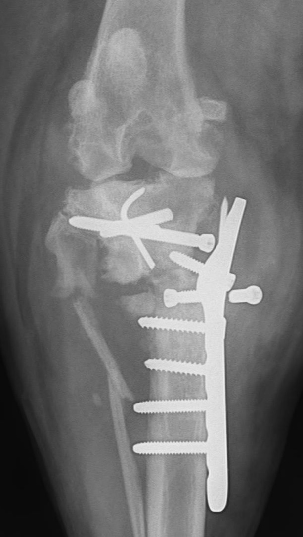 What would you do with this :-0
Our autumn meeting is all about...REVISION SURGERY!
20-22nd Nov in Bristol, full details and booking info shared here v soon :-)