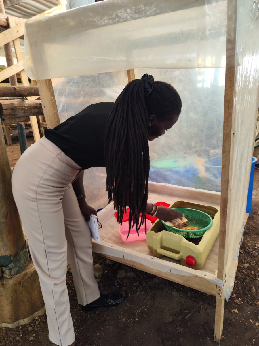 Patience Kiiza Ataliba (@atalibapatience) on Twitter photo Just wrapped up an incredible training bootcamp on greening the chicken value chain. Thank you <a href="/NARO_MUZARDI/">NARO_MUZARDI</a> <a href="/gudie_farm/">Gudie Leisure Farm</a> and @UnivOfBurundi! I am excited to see the impact this training on our communities! #GreeningTheChickenValueChain #ClimateResilience Just wrapped up an incredible training bootcamp on greening the chicken value chain. Thank you <a href="/NARO_MUZARDI/">NARO_MUZARDI</a> <a href="/gudie_farm/">Gudie Leisure Farm</a> and @UnivOfBurundi! I am excited to see the impact this training on our communities! #GreeningTheChickenValueChain #ClimateResilience