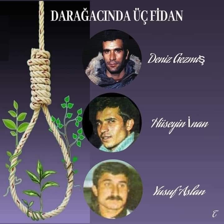 #DarağacındaÜçFidan