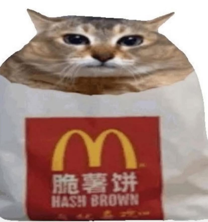 ⊹ ‘oh neeko… how little you know…’