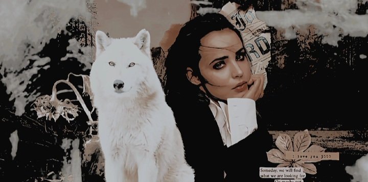 Wolfinfern's tweet image. ⠀⠀⠀⠀⠀⠀

ᅠ

⠀⠀⠀⠀⠀⠀ᅠ( ... )  𝒅hampir 𖬺͟𖬺 
                         𝒘olf 𖬺͟  𝒃alerrina. 
                         written.⠀ by.⠀⠀
                               halazia.⠀⠀

 ᅟᅟ

ᅟᅟᅟᅟᅟ