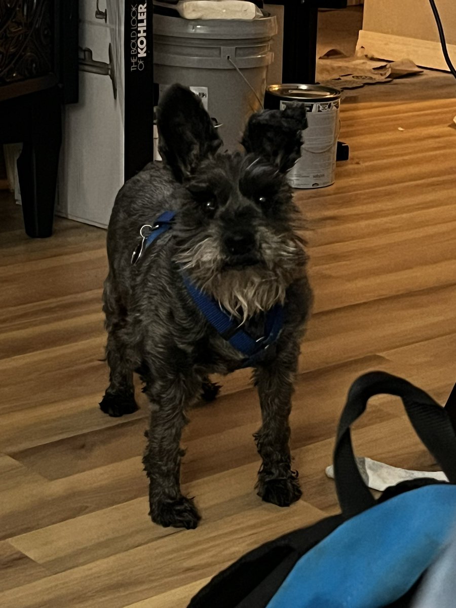 Reila (TheBirdMachine) tweet media