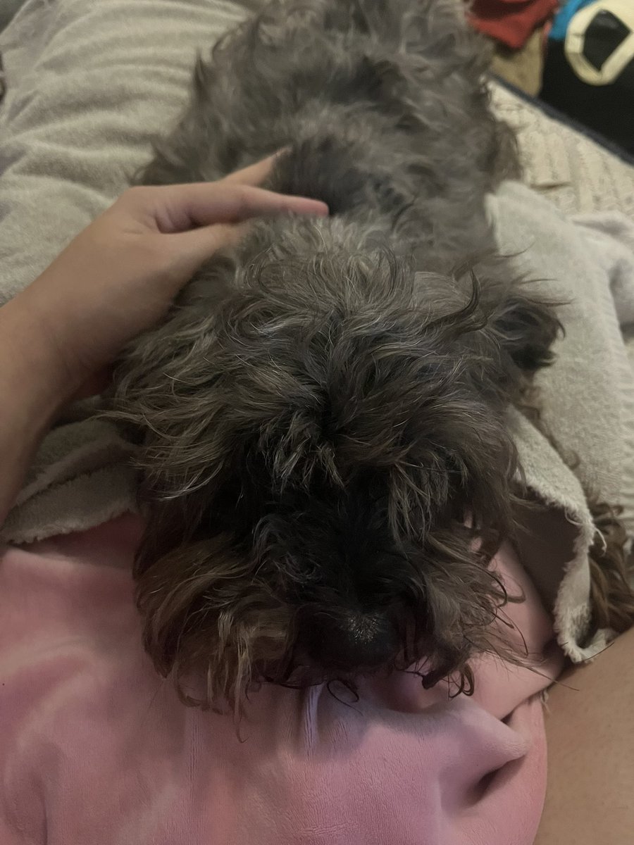 Reila (TheBirdMachine) tweet media