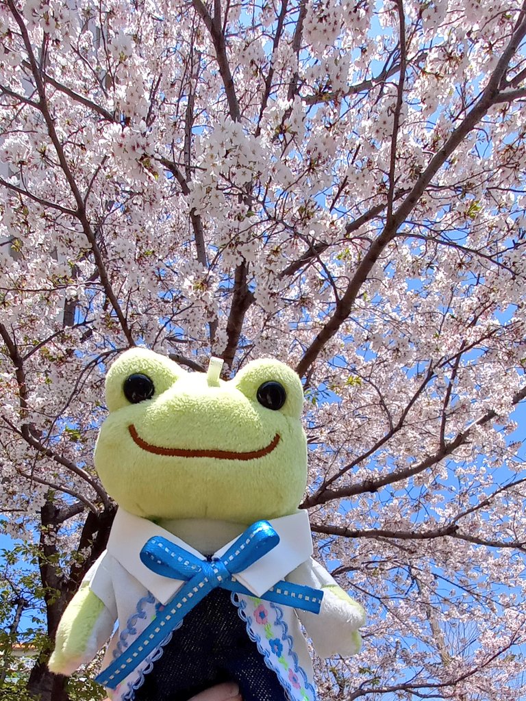 今日から仕事ぉぉ😭
先月末ぐらいから 
精神面や体調などが
良くなくて(年齢的なやつ)
寝正月ならぬ、寝GW
でした😅仕事の方も
お休みの方も良い１日を～😊写真は以前撮ったや～つ
