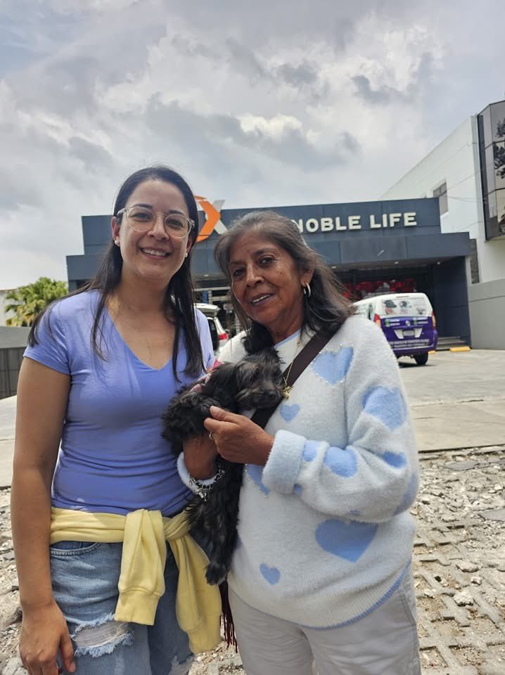 Animals Hope tweet media
