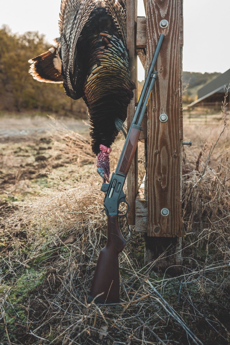 Yes, you can bag birds with a Henry .410 Lever Action. 🦃
