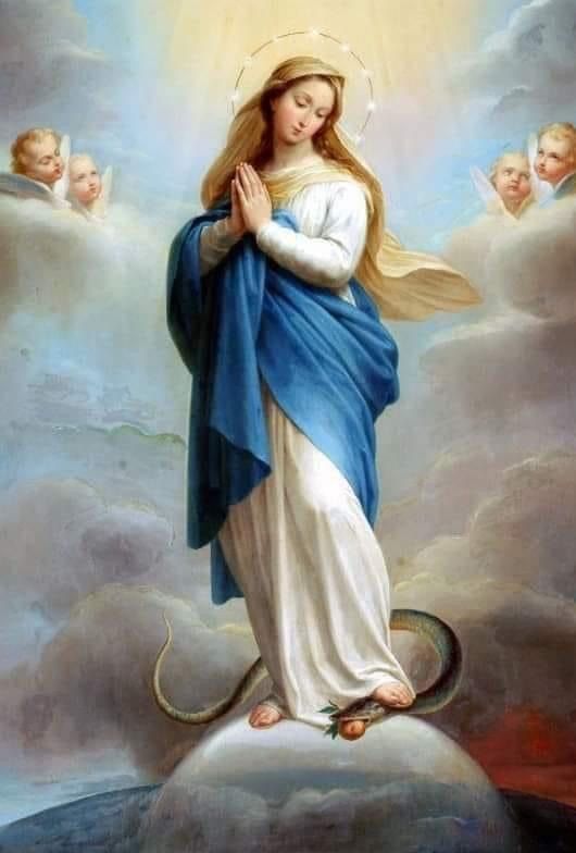 RaiosLuminosos's tweet image. Maria, passa na frente e pisa a cabeça da serpente.