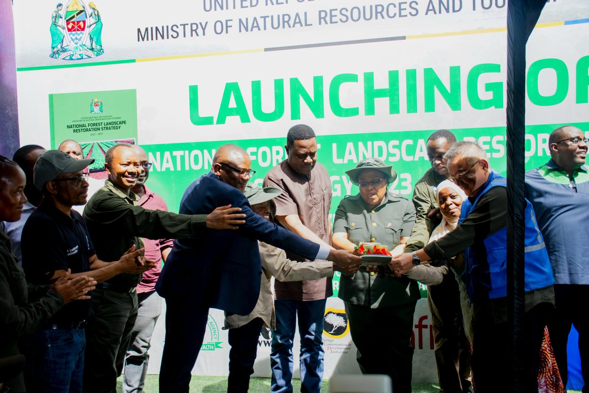 Mpingo Conservation tweet media