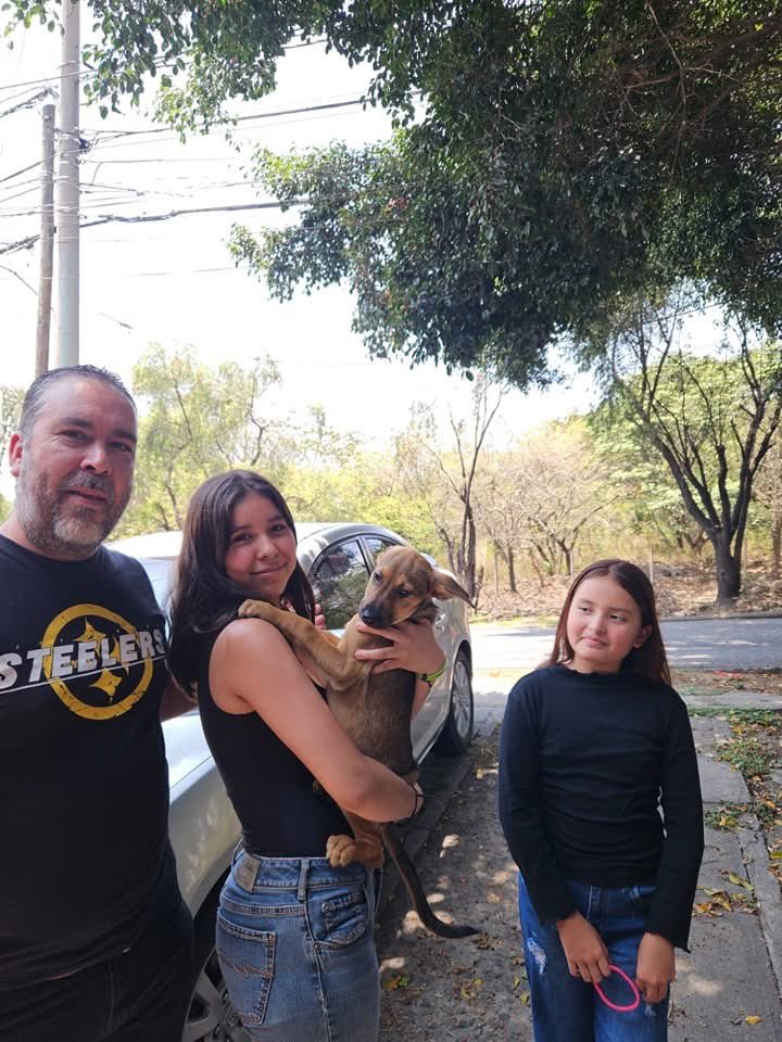 Animals Hope tweet media
