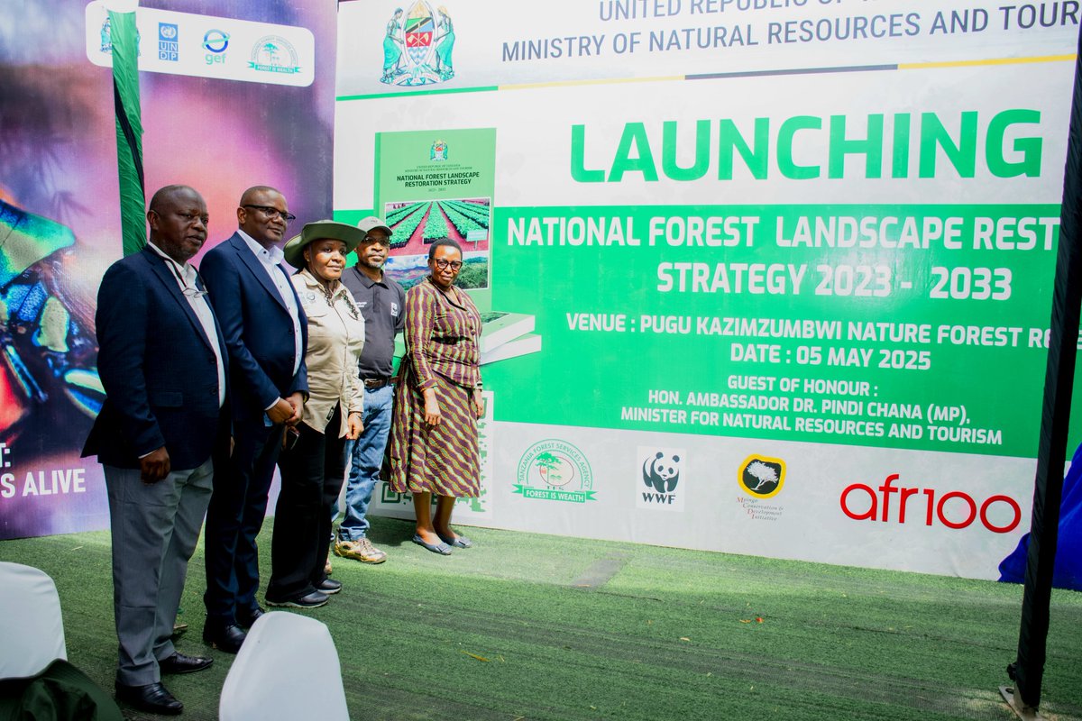 Mpingo Conservation tweet media