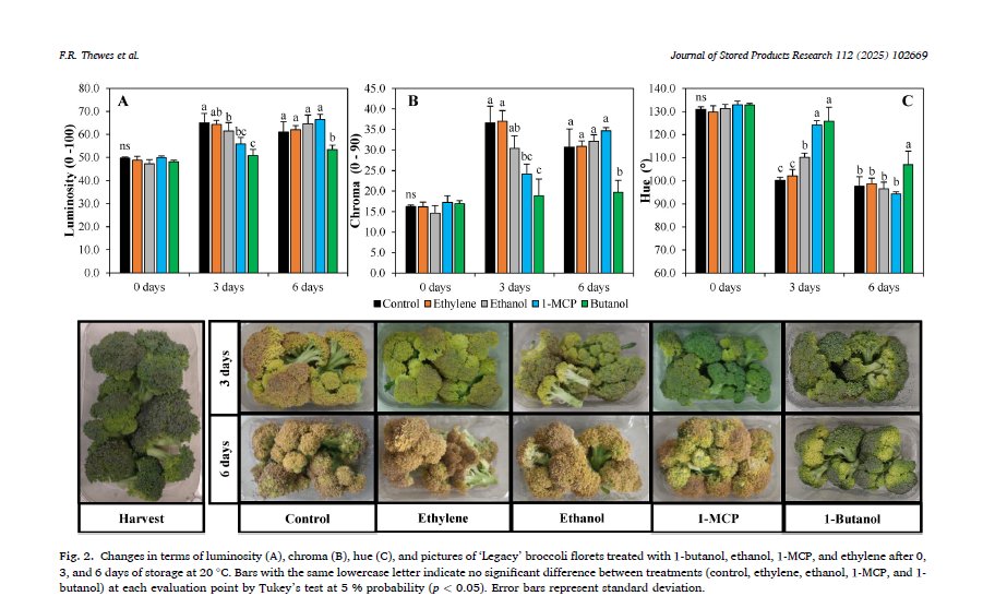 Nacherntephysi1's tweet photo. 🚨 New paper published!
1-butanol vapor shows promise as an alternative to 1-MCP to keep ‘Legacy’ broccoli green & fresh at room temp. 🌱💨
🧪 Published in Journal of Stored Products Research
🔗 https://t.co/7tnYBbf9Dk
#Postharvest #Broccoli #1Butanol https://t.co/8kyOqajV5T