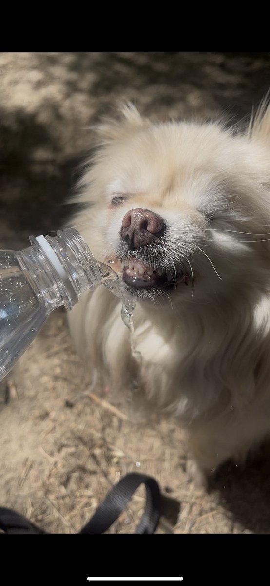 Only had sparkling water on the hike