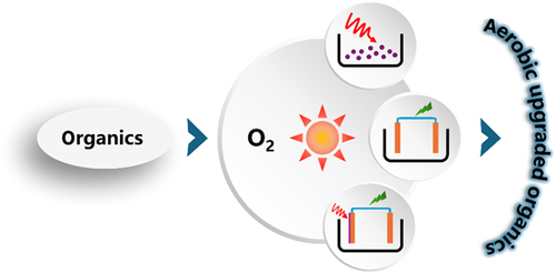 Innovative and Sustainable Approaches to Aerobic Oxidation Reactions for Organics Upgrading chinesechemsoc.org/doi/10.31635/c… 

#chemistry #openaccess #science #chemtwitter