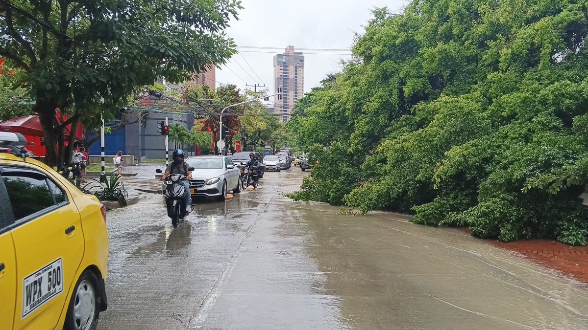 Secretaría de Tránsito de Barranquilla (@transitobaq) on Twitter photo 🌳Árbol caído en la carrera 52 con 82 esquina <a href="/alcaldiabquilla/">Alcaldía de Barranquilla</a>
🚗La movilidad fluye a un carril con el apoyo de orientadores en el sector.
🚒Ya se reportó a Bomberos para que se retire el árbol. 🌳Árbol caído en la carrera 52 con 82 esquina <a href="/alcaldiabquilla/">Alcaldía de Barranquilla</a>
🚗La movilidad fluye a un carril con el apoyo de orientadores en el sector.
🚒Ya se reportó a Bomberos para que se retire el árbol.