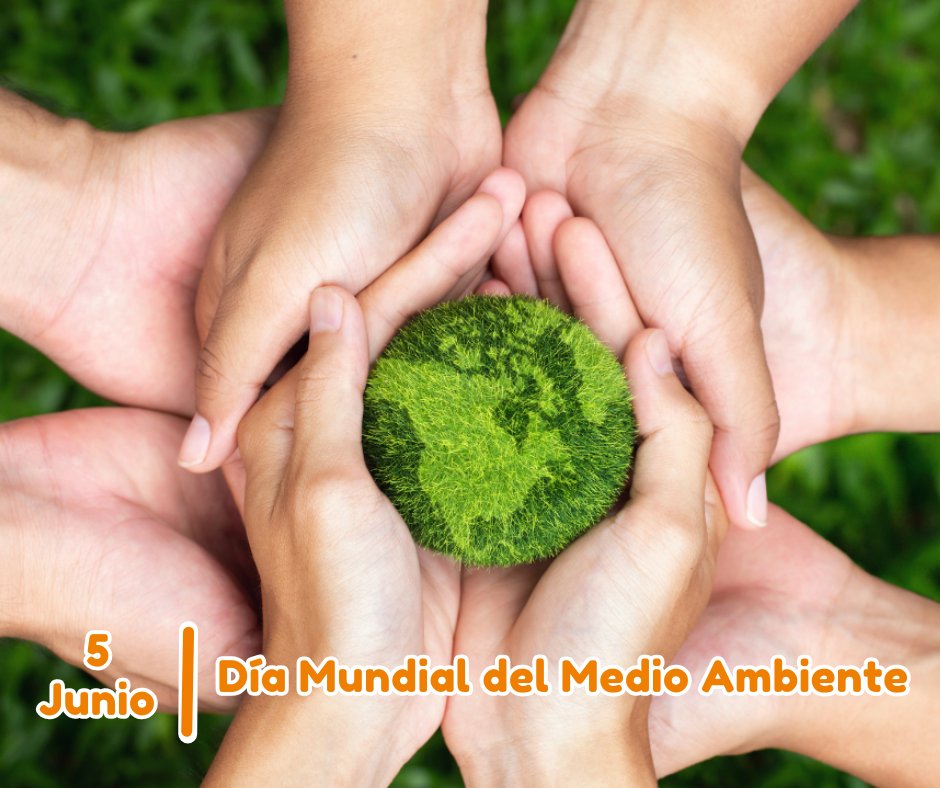Millones de toneladas de plástico llegan a los océanos, poniendo en riesgo la salud del planeta. Haz la diferencia desde el aula #DíaMundialDelMedioAmbiente
--
Millions of tons of plastic end up in the oceans, putting the planet’s health at risk. Make a difference from the school
