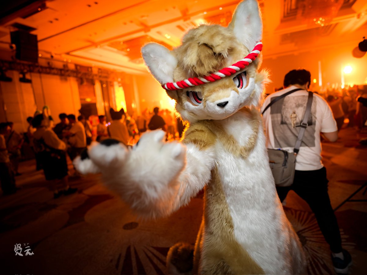 #FursuitEveryday 

今天也要做帅小狗🐾

📷:<a href="/xianyunyanba/">贤云</a>