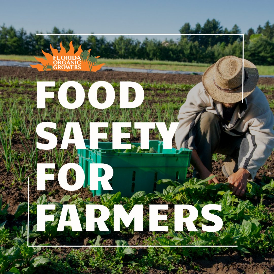 Join us on the Fresh Take Podcast as we chat with Kirby Quam, the Produce Safety Outreach Coordinator at FDACS. Kirby dives deep into the On Farm Readiness Review (OFRR) process for farmers.
🔗Listen at:  bit.ly/3EXmwqP

#FreshTakePodcast #KirbyQuam #FDACS #ProduceSafety