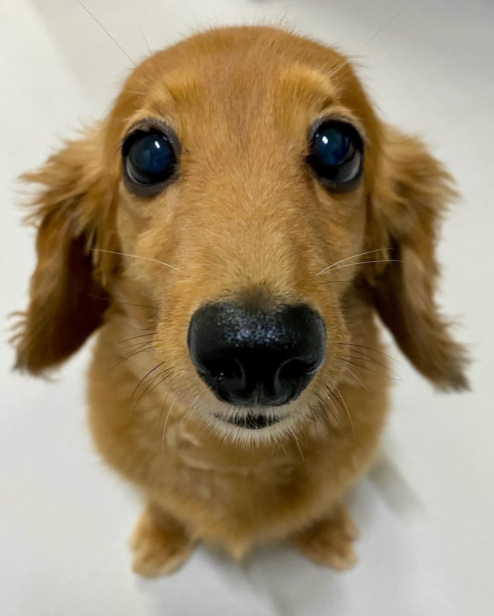 This is Boksil. She wanted to let you to know that she is free to hang out right now if you are. In case you were wondering. 12/10