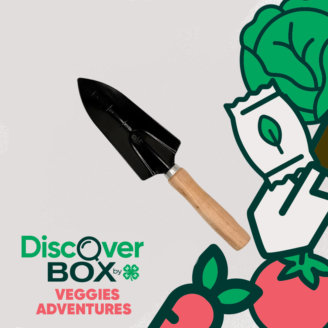 🌿 Explore the science behind food and nutrition! The 4-H Discover Box: Veggie Adventures is packed with engaging, hands-on STEM activities to help students understand where food comes from and how plants grow.
 
📦 Inside the box:
✔️ Lesson plans and activity guides
✔️ Hands-on