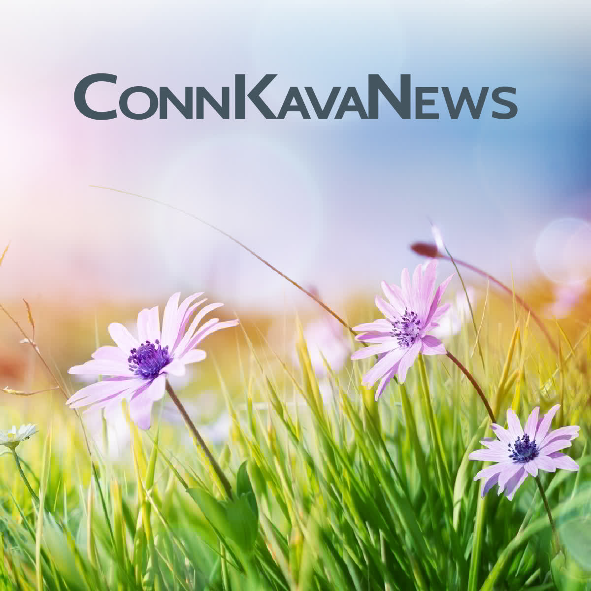 ConnKavanaugh's tweet image. The latest edition of ConnKavaNews covers ICE audits, DEI guidance, and remote workforce issues for employers, construction insurance, alimony and family law, along with things you should know about mishaps ... us9.campaign-archive.com/home/?u=322ce2…

#ConnKavanaugh #SpringUpdates #StayintheKnow