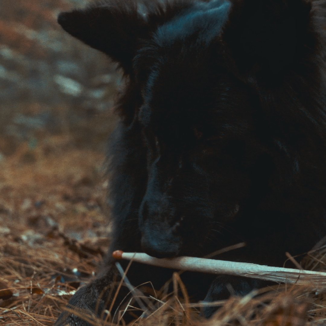 INFINITAS tweet media