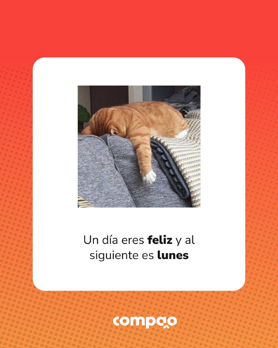 Compao_mx tweet picture