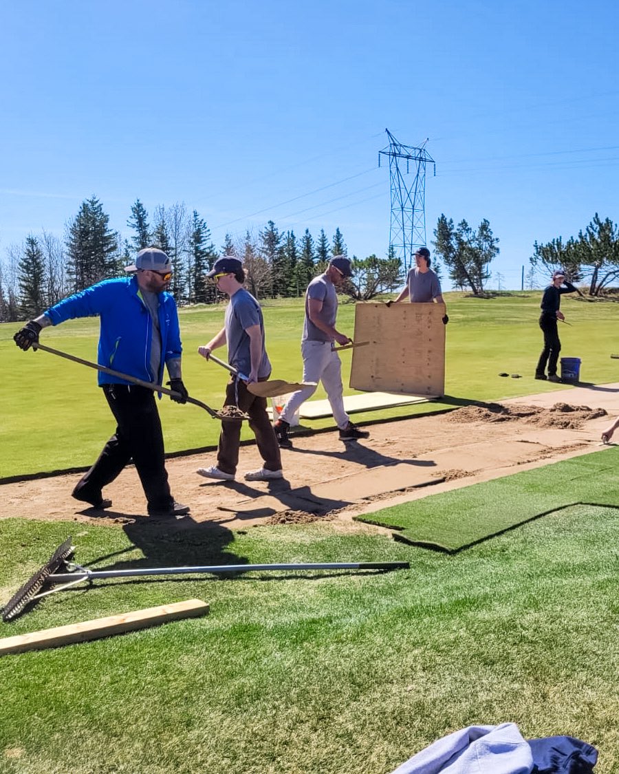 Springbank Links tweet media