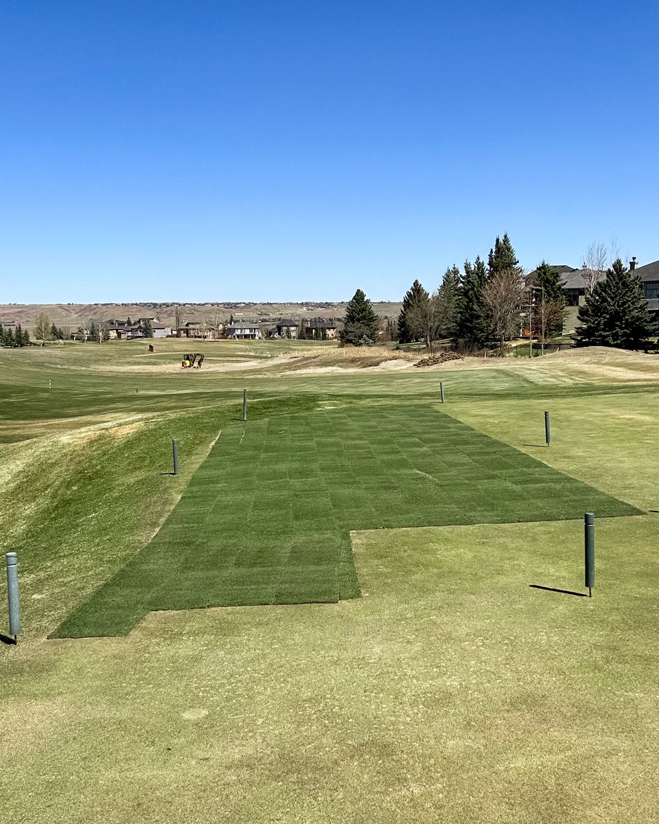 Springbank Links tweet media