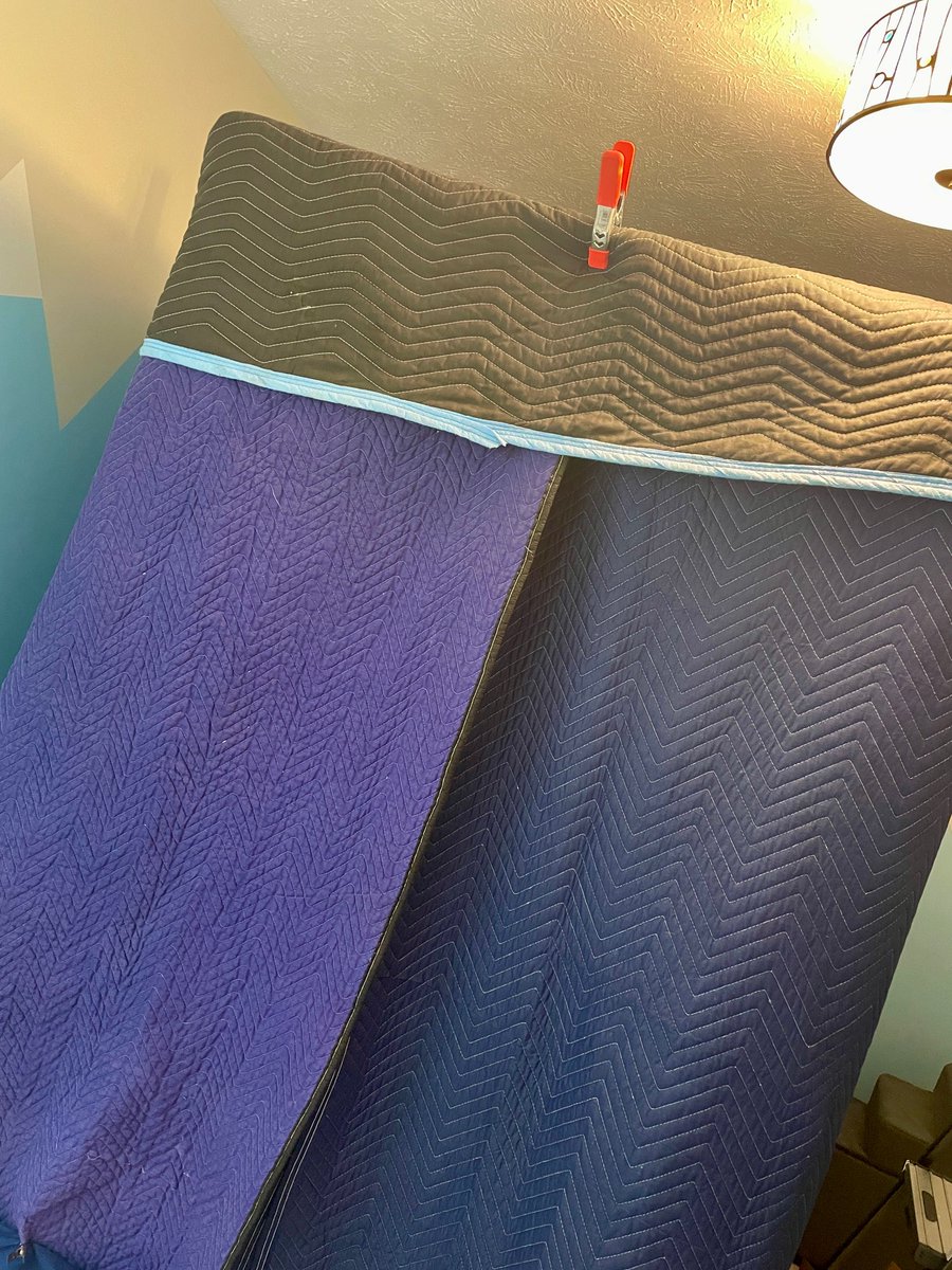 Alexis Campbell tweet media