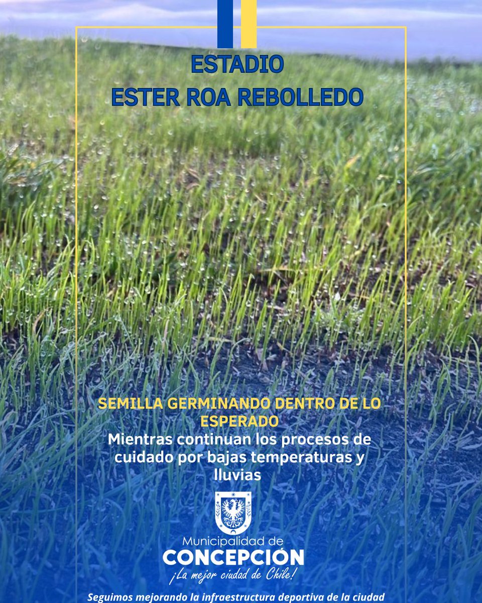 Estadio Ester Roa (@esterroaoficial) on Twitter photo 