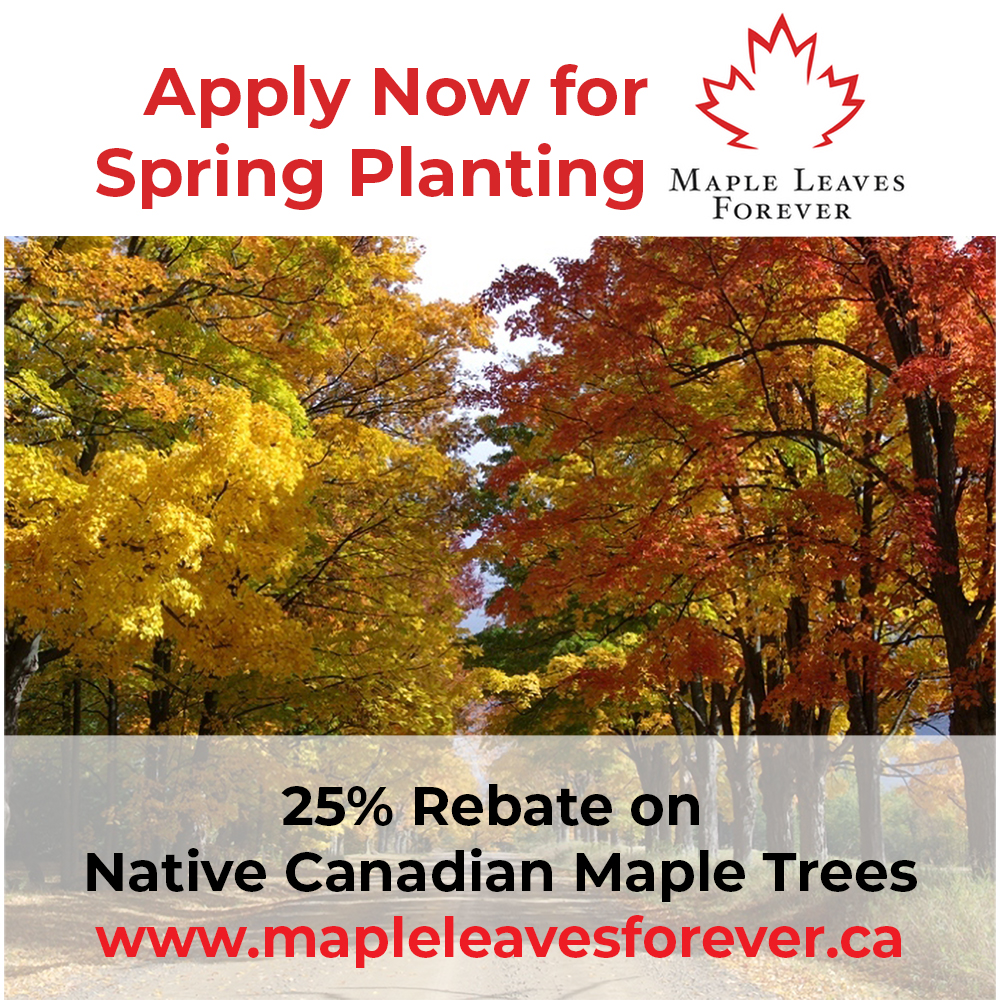 10 days left to apply for our 25% Maple tree rebate. Visit mapleleavesforever.ca for details!